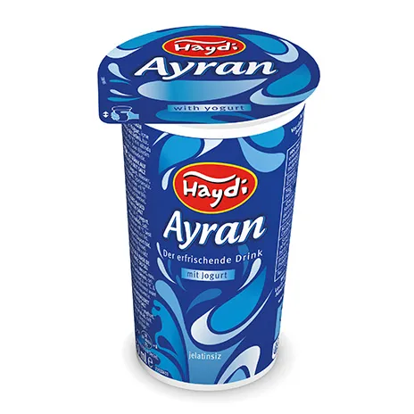 HAYDI H-Ayran 250ml x 20 Becher (ohne Kühlung)